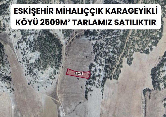 ESKİŞEHİR MİHALIÇÇIK KARAGEYİKLİ  KÖYÜNDE 2.509  M² TARLA SATILIKTIR - ESKİŞEHİR MİHALIÇÇIK fotoğraf 9